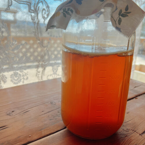 A glass jar of kombucha on a wood counter top.