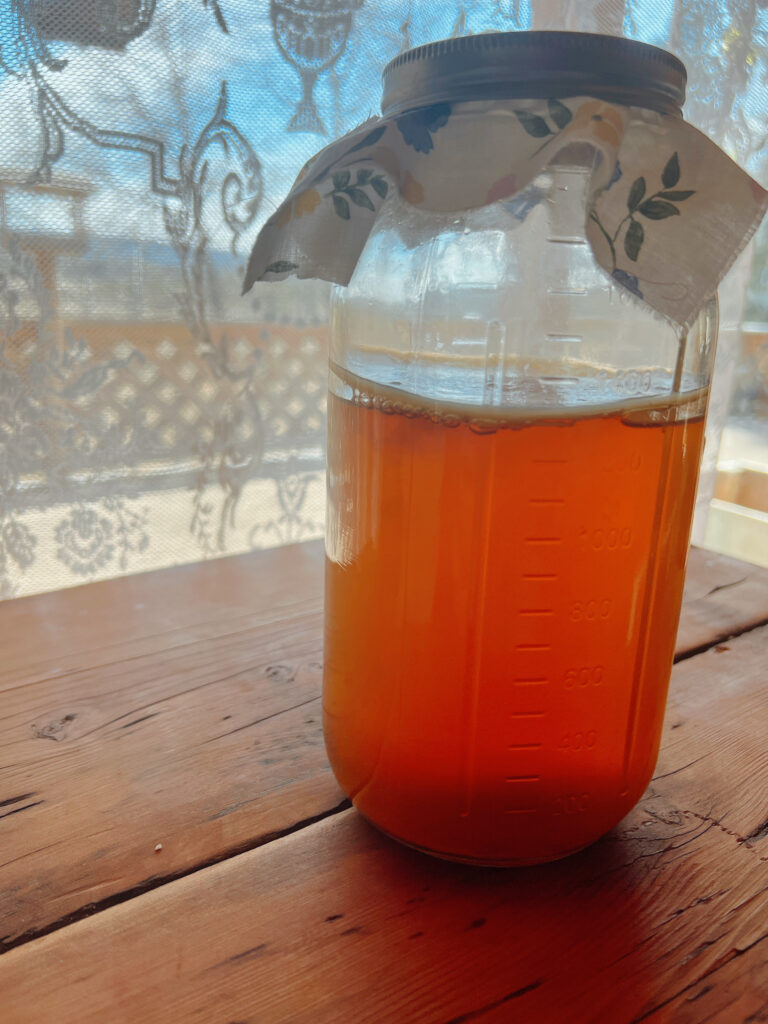 A glass jar of kombucha on a wood counter top.