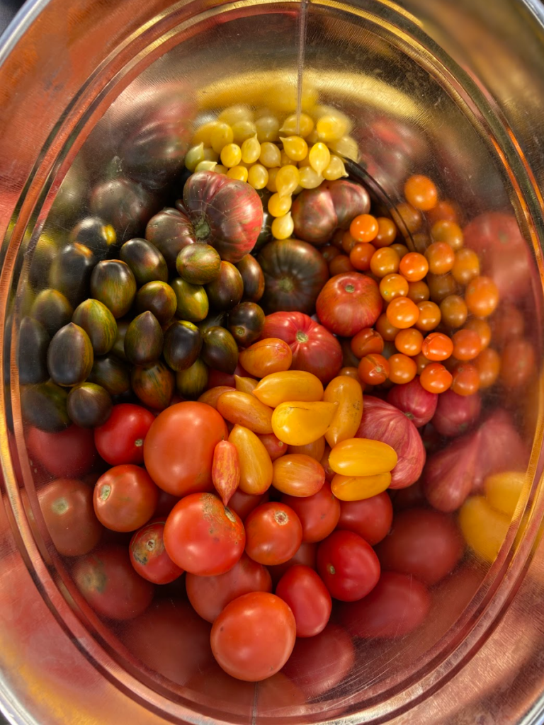 A stainless steel bowl of different cherry tomatoes.