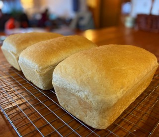 Three loaves of bread on a wire cooling rack.