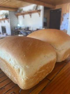 Two loaves of warm bread on a wooden counter.