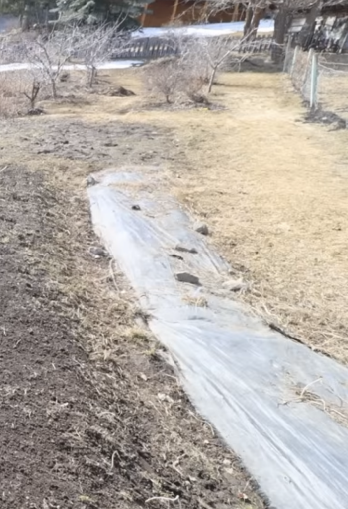 A weed barrier strip to stop quack grass.