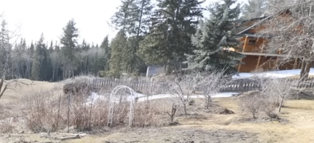 The LMR Food Forest in the distance.