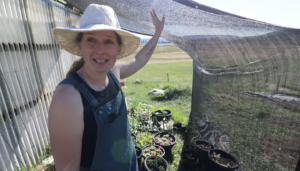 Chelsea showing her shade cloth set up for how to harden off seedlings.