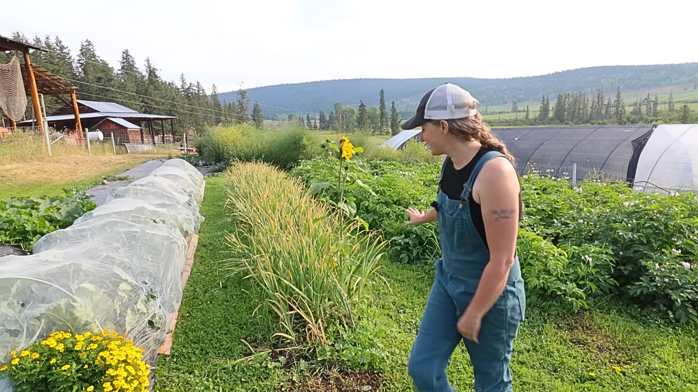 Chelsea standing front of the row of garlic she's about to harvest.