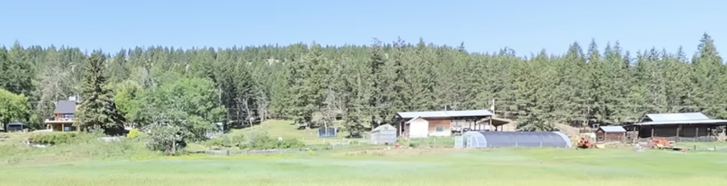 Little Mountain Ranch from the hay field.