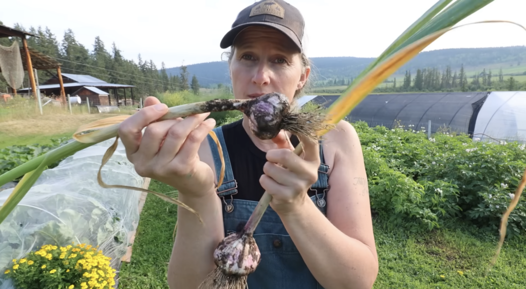 Chelsea holding up a softneck garlic bulb and a hardneck garlic bulb.