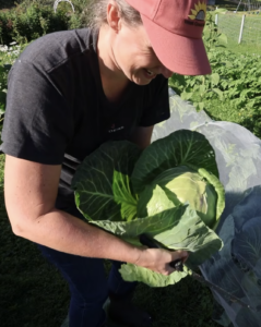 Chelsea holding a cabbage that she just harvested in front of a covered row of cabbage.