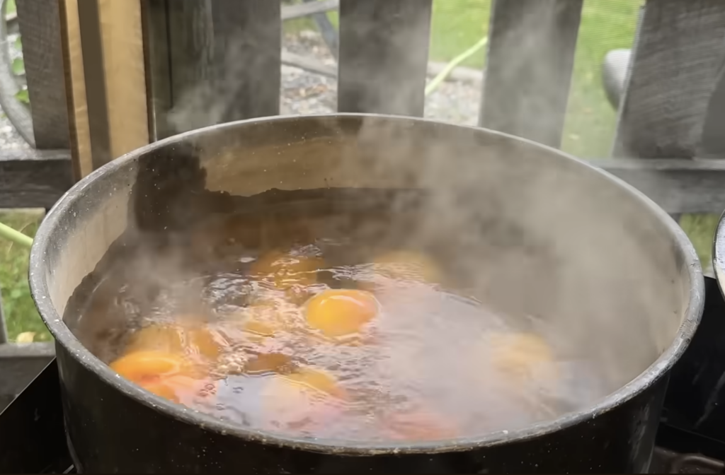 A large pot of water boiling with peaches in it to blanch.